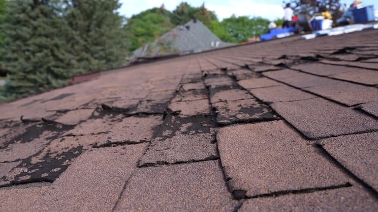 Best Roofing for New Construction  in Southern Gateway, VA